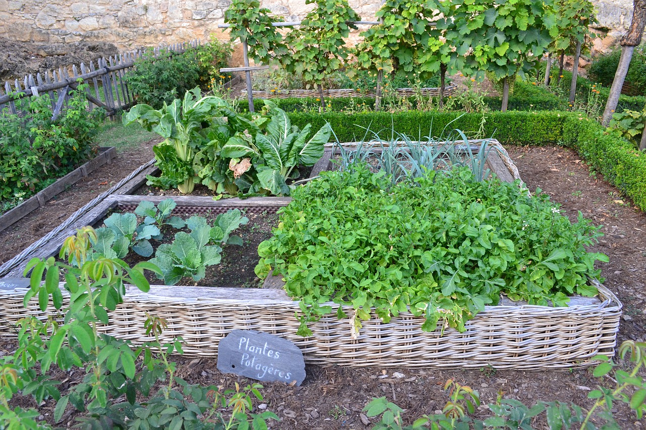 家庭菜園に適した場所と条件とは？